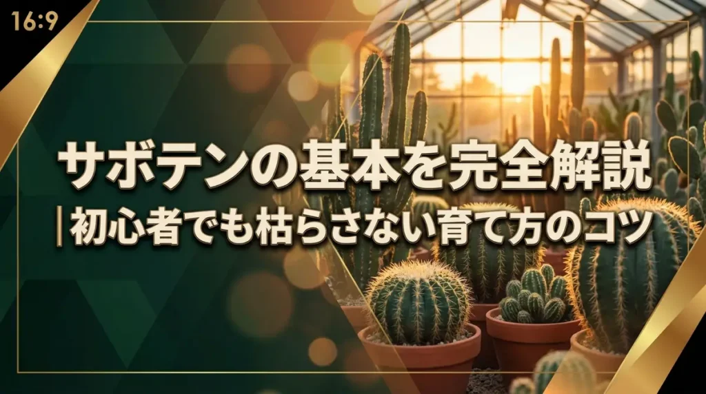 サボテンの基本を完全解説｜初心者でも枯らさない育て方のコツ
