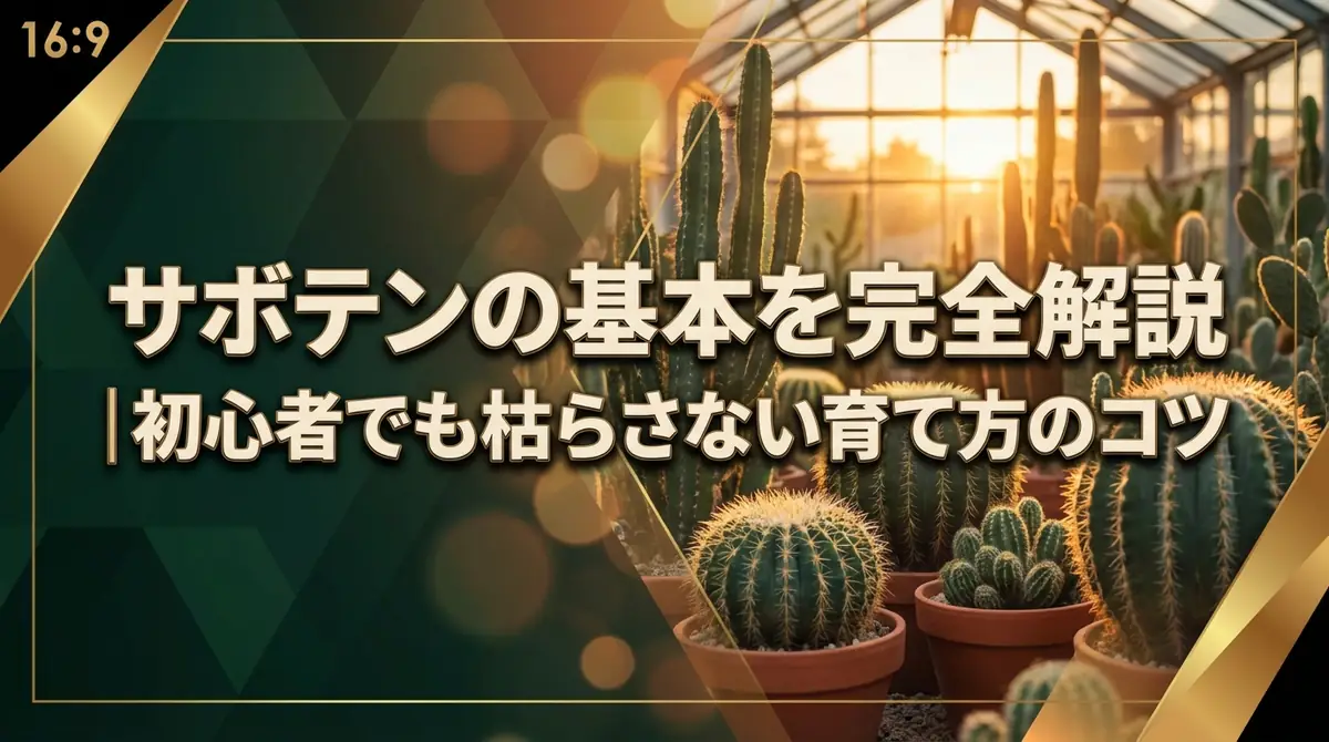 サボテンの基本を完全解説|初心者でも枯らさない育て方のコツ