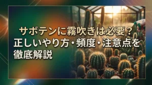 サボテンに霧吹きは必要？正しいやり方・頻度・注意点を徹底解説