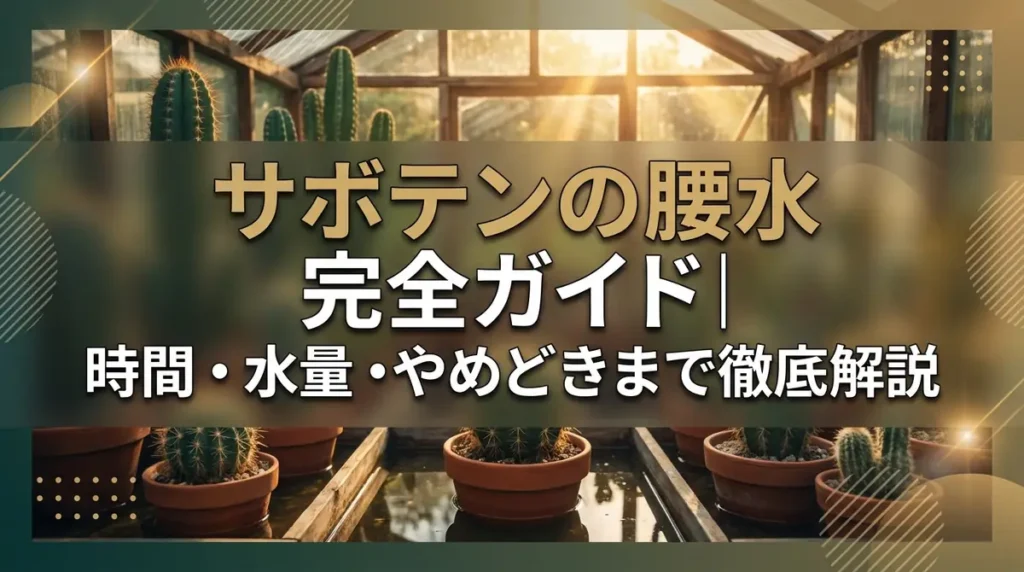 サボテンの腰水完全ガイド｜時間・水量・やめどきまで徹底解説