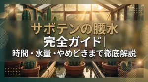 サボテンの腰水完全ガイド｜時間・水量・やめどきまで徹底解説