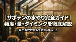 サボテンの水やり完全ガイド｜頻度・量・タイミングを徹底解説
