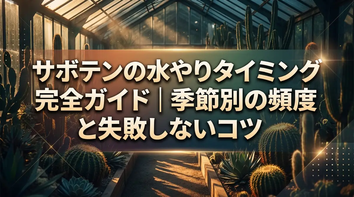 サボテンの水やりタイミング完全ガイド|季節別の頻度と失敗しないコツ
