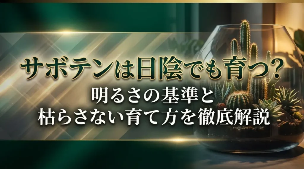 サボテンは日陰でも育つ？明るさの基準と枯らさない育て方を徹底解説
