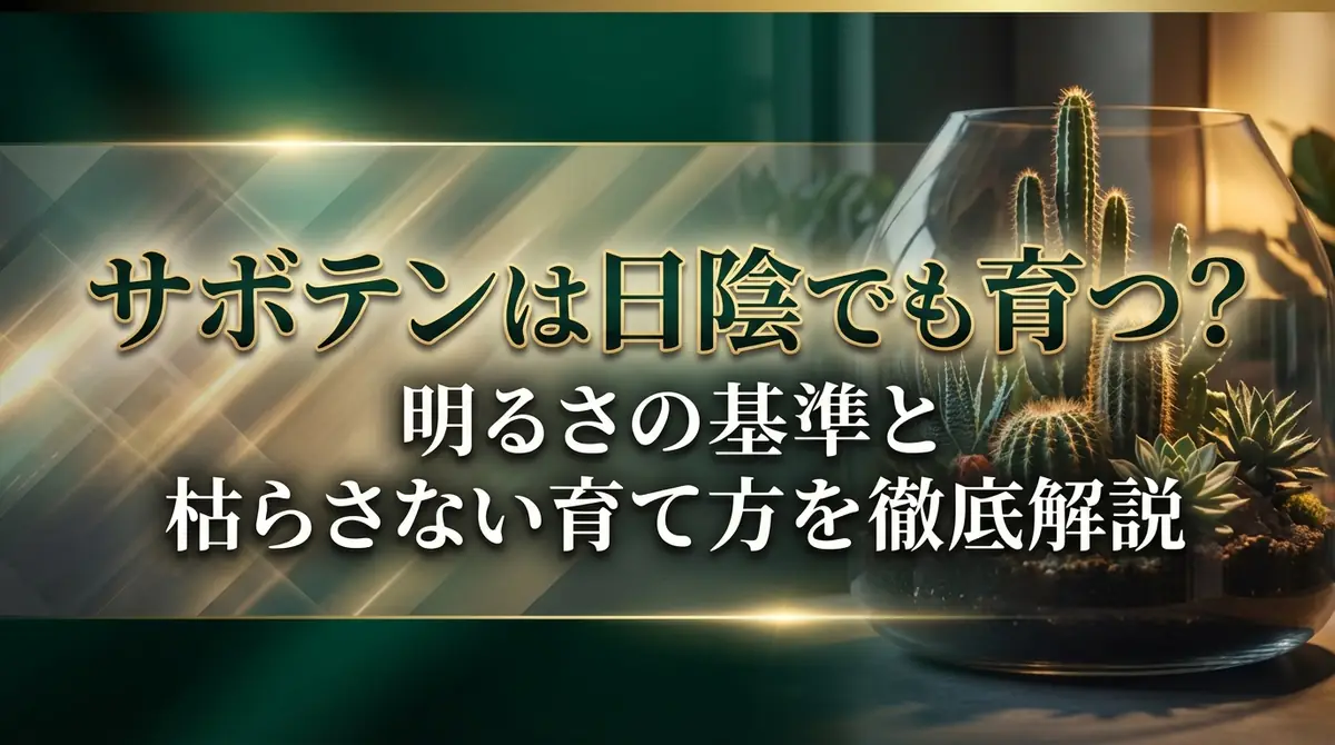 サボテンは日陰でも育つ？明るさの基準と枯らさない育て方を徹底解説