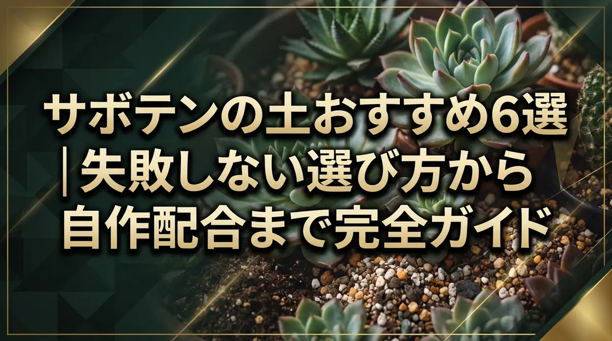 サボテンの土おすすめ6選｜失敗しない選び方から自作配合まで完全ガイド