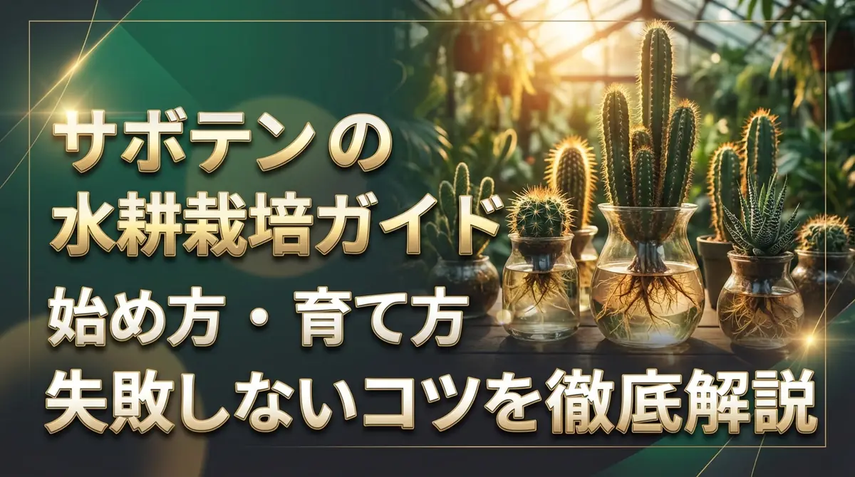 サボテンの水耕栽培ガイド｜始め方・育て方・失敗しないコツを徹底解説