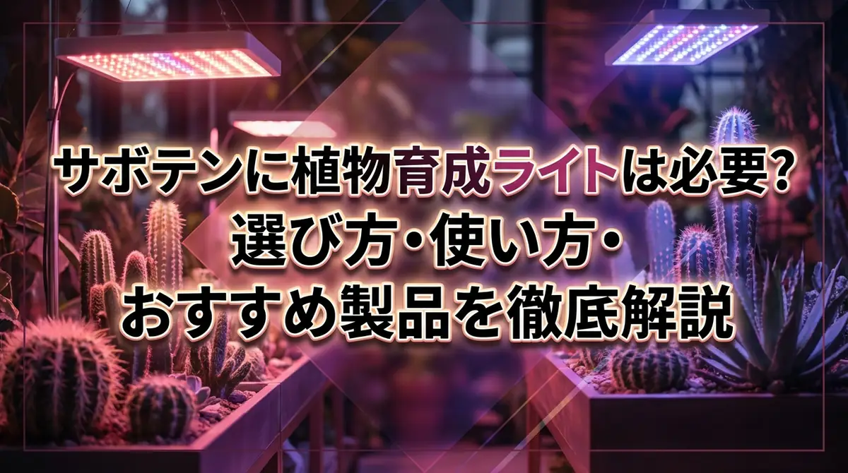 サボテンに植物育成ライトは必要？選び方・使い方・おすすめ製品を徹底解説