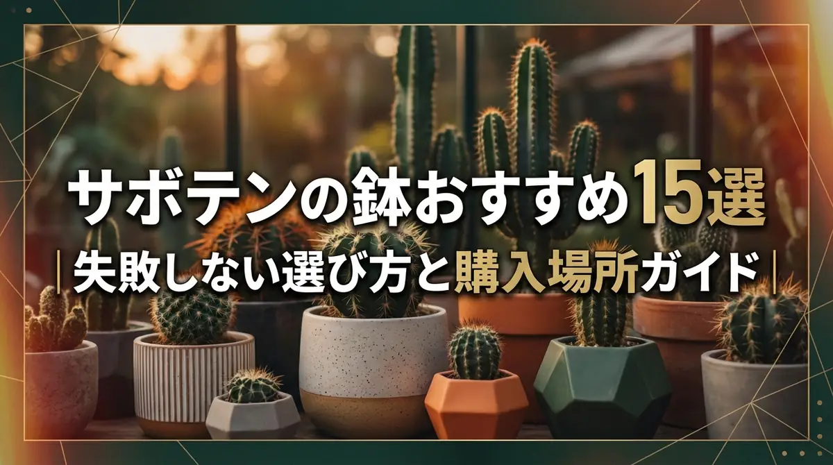 サボテンの鉢おすすめ15選｜失敗しない選び方と購入場所ガイド