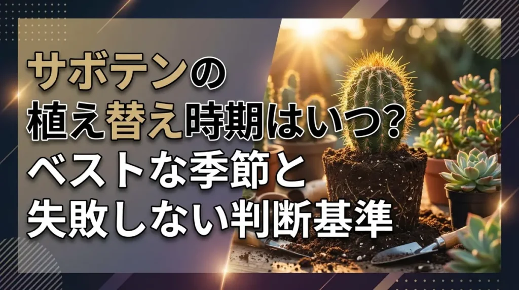 サボテンの植え替え時期はいつ？ベストな季節と失敗しない判断基準