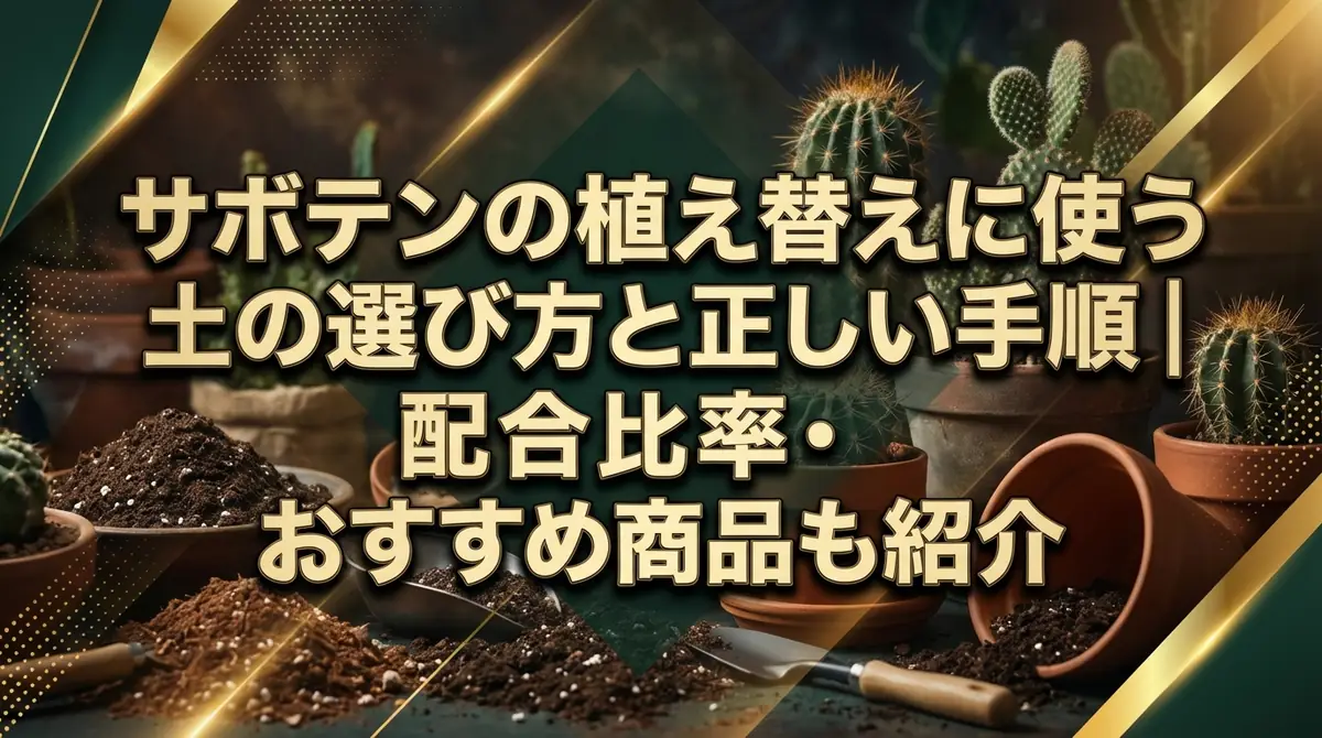 サボテンの植え替えに使う土の選び方と正しい手順｜配合比率・おすすめ商品も紹介