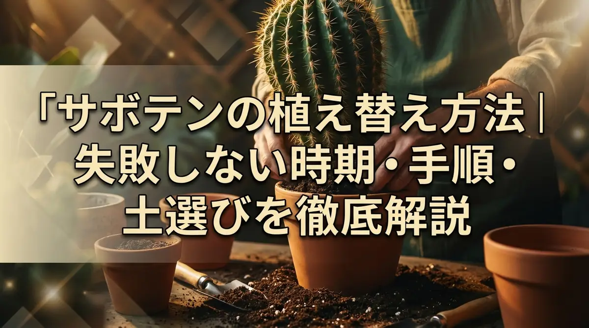 サボテンの植え替え方法｜失敗しない時期・手順・土選びを徹底解説