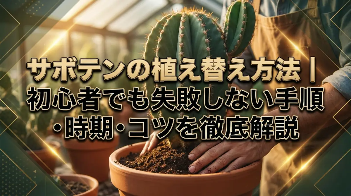 サボテンの植え替え方法｜初心者でも失敗しない手順・時期・コツを徹底解説