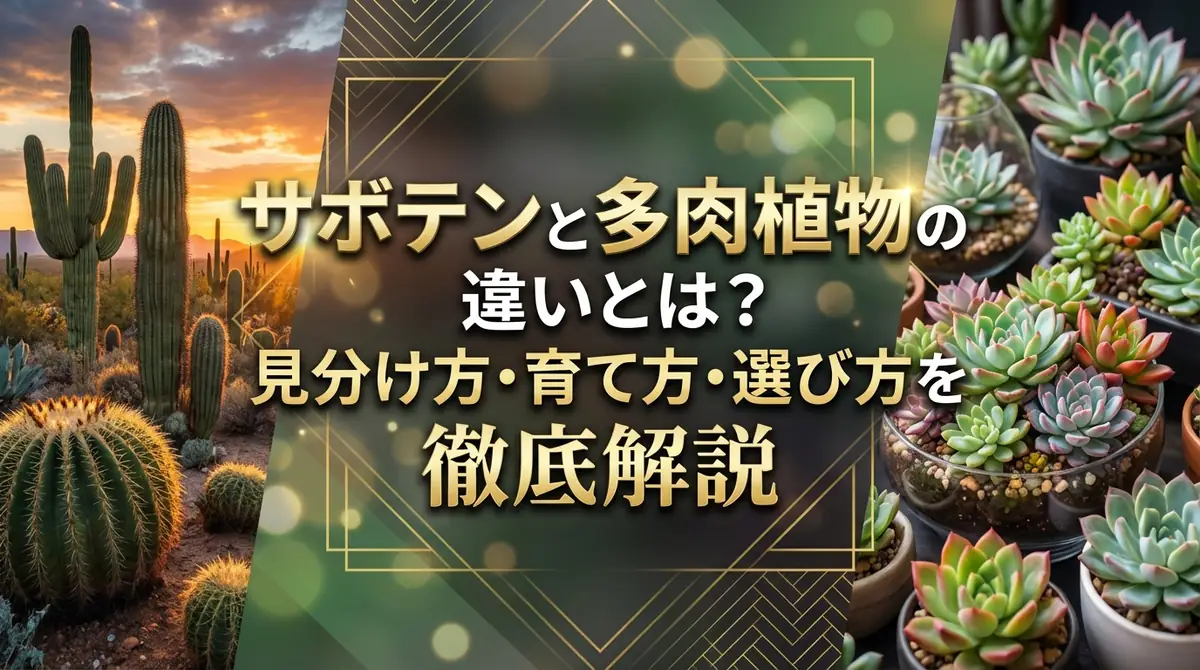 サボテンと多肉植物の違いとは？見分け方・育て方・選び方を徹底解説
