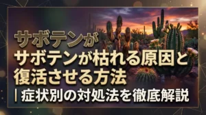 サボテンが枯れる原因と復活させる方法｜症状別の対処法を徹底解説