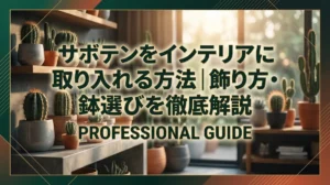 サボテンをインテリアに取り入れる方法｜飾り方・種類・鉢選びを徹底解説
