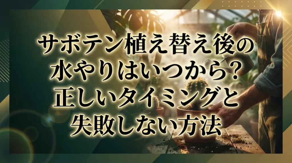 サボテン植え替え後の水やりはいつから？正しいタイミングと失敗しない方法