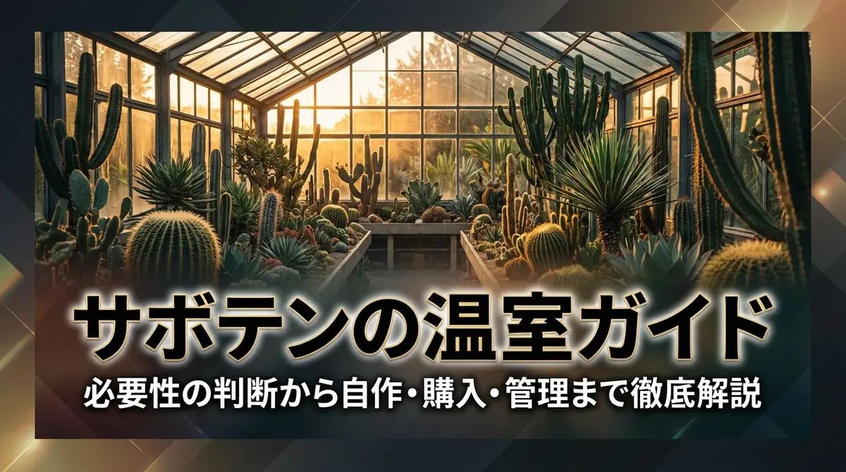 サボテンの温室ガイド｜必要性の判断から自作・購入・管理まで徹底解説