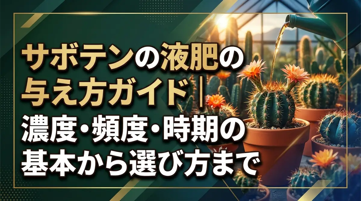 サボテンの液肥の与え方ガイド｜濃度・頻度・時期の基本から選び方まで
