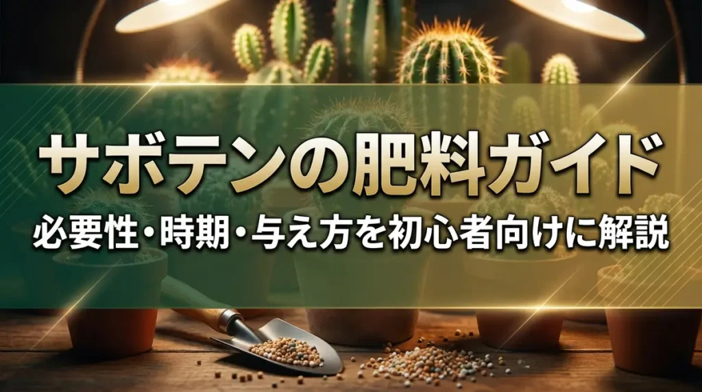 サボテンの肥料ガイド｜必要性・時期・与え方を初心者向けに解説