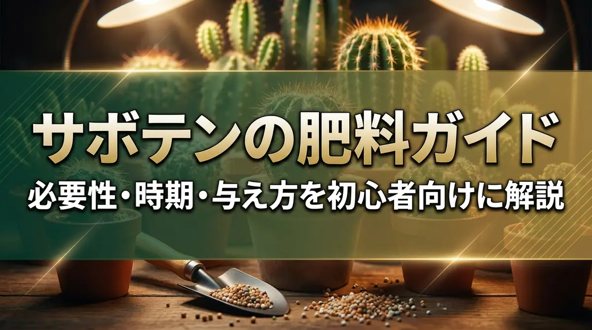 サボテンの肥料ガイド|必要性・時期・与え方を初心者向けに解説