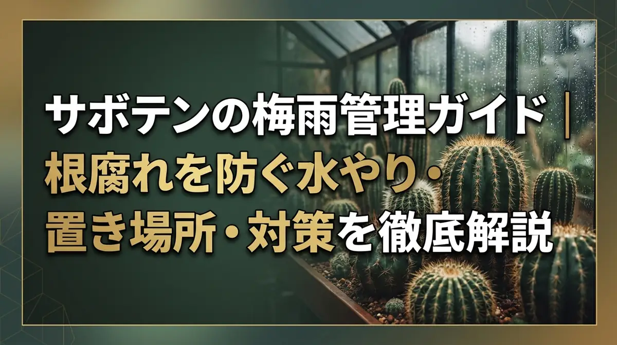 サボテンの梅雨管理ガイド｜根腐れを防ぐ水やり・置き場所・対策を徹底解説