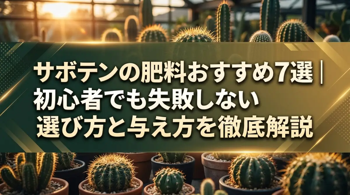 サボテンの肥料おすすめ7選｜初心者でも失敗しない選び方と与え方を徹底解説