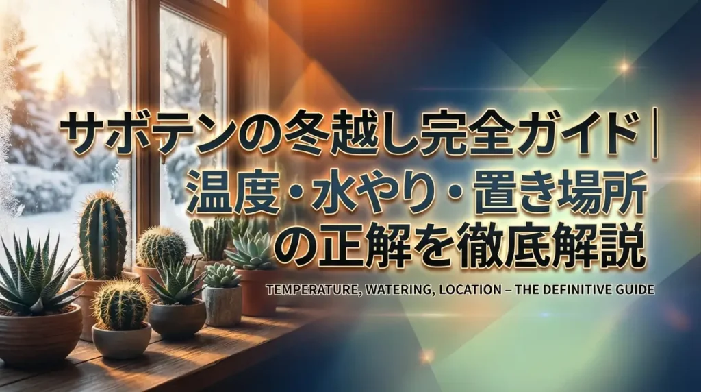 サボテンの冬越し完全ガイド｜温度・水やり・置き場所の正解を徹底解説