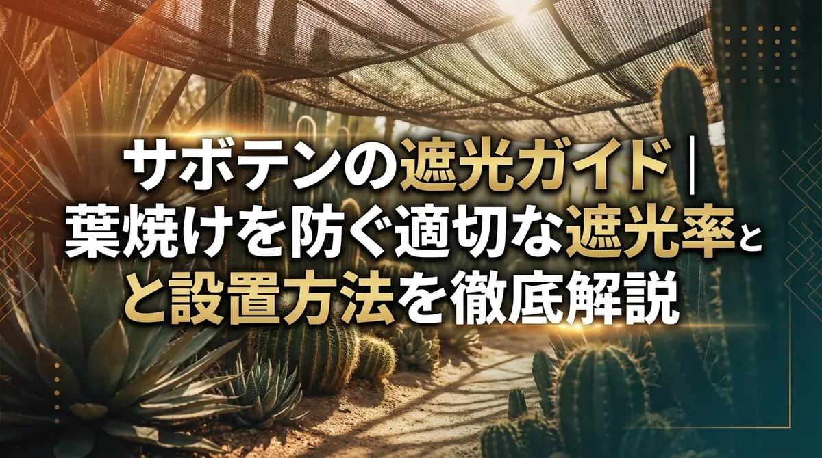 サボテンの遮光ガイド｜葉焼けを防ぐ適切な遮光率と設置方法を徹底解説