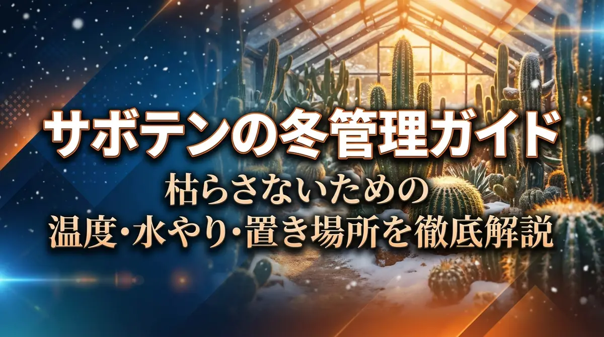 サボテンの冬管理ガイド|枯らさないための温度・水やり・置き場所を徹底解説