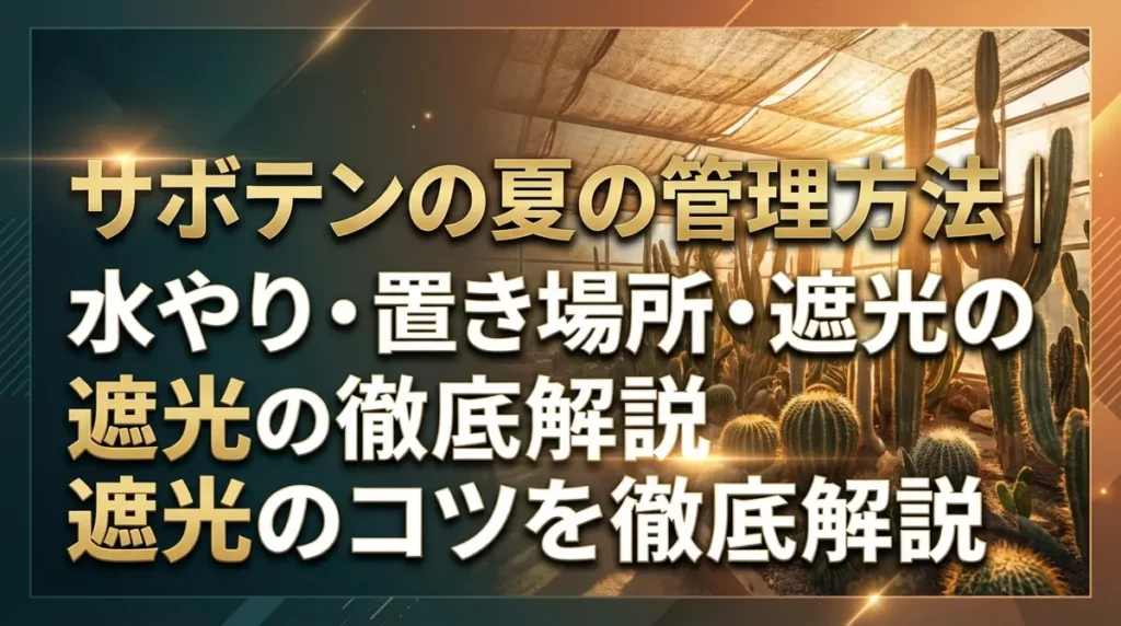 サボテンの夏の管理方法｜水やり・置き場所・遮光のコツを徹底解説