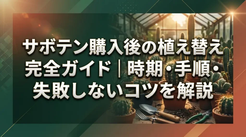 サボテン購入後の植え替え完全ガイド｜時期・手順・失敗しないコツを解説