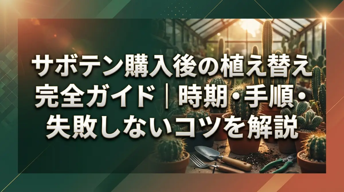 サボテン購入後の植え替え完全ガイド｜時期・手順・失敗しないコツを解説