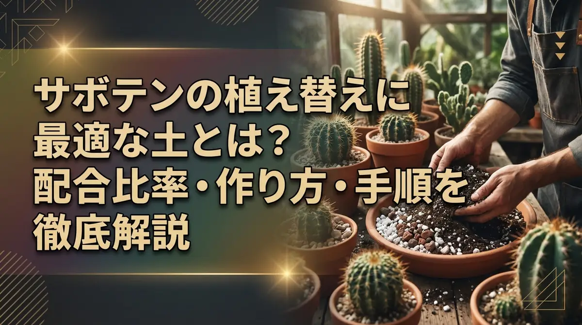 サボテンの植え替えに最適な土とは?配合比率・作り方・手順を徹底解説
