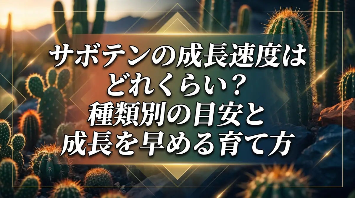 サボテンの成長速度はどれくらい？種類別の目安と成長を早める育て方