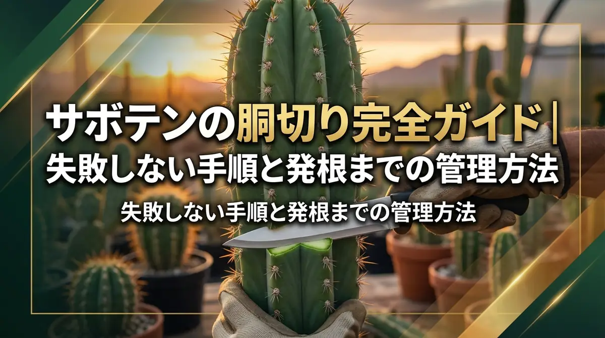 サボテンの胴切り完全ガイド｜失敗しない手順と発根までの管理方法