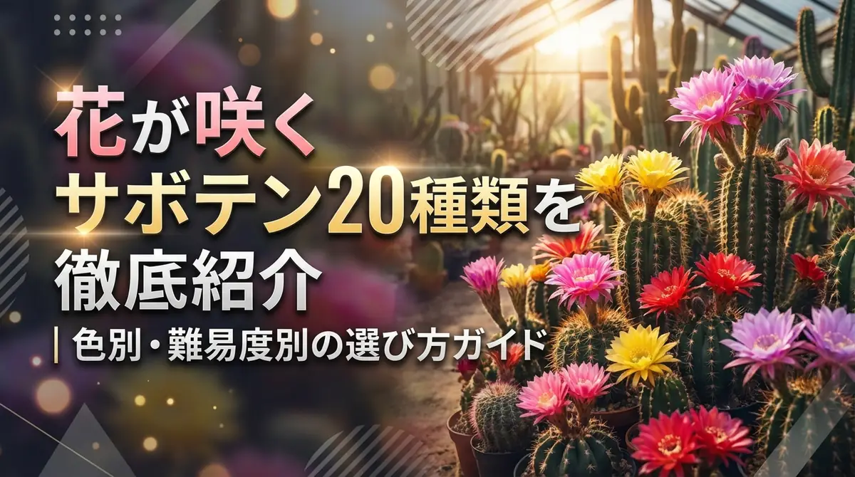 花が咲くサボテン20種類を徹底紹介｜色別・難易度別の選び方ガイド