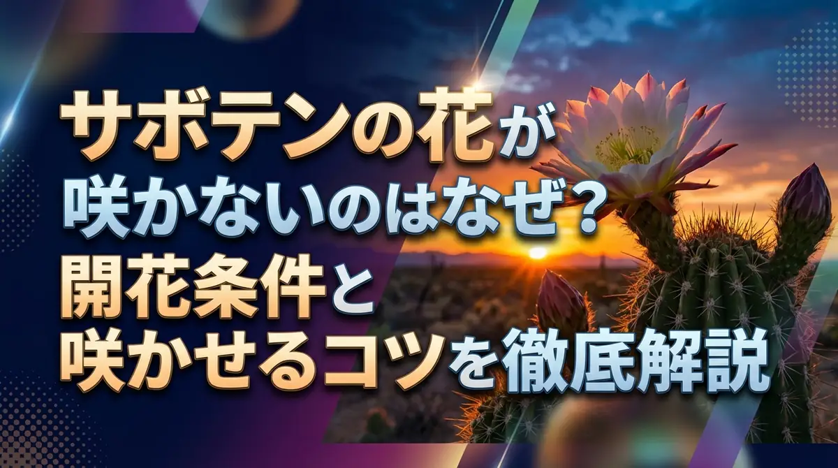 サボテンの花が咲かないのはなぜ？開花条件と咲かせるコツを徹底解説