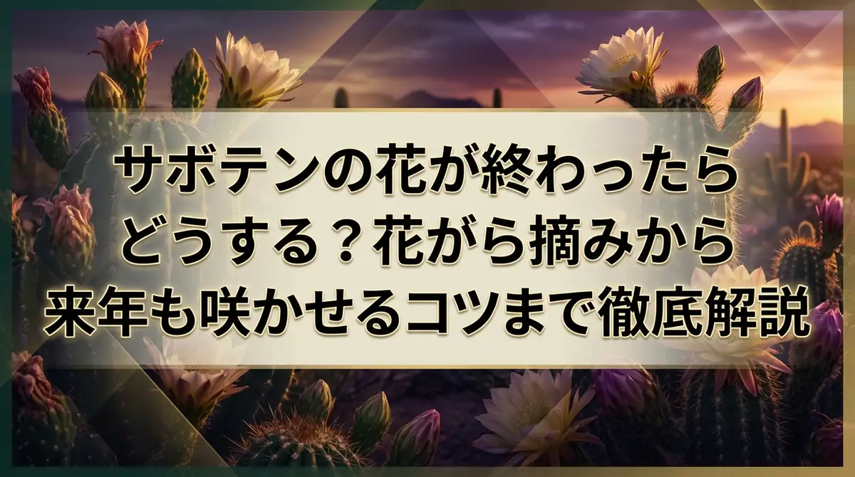 サボテンの花が終わったらどうする?花がら摘みから来年も咲かせるコツまで徹底解説
