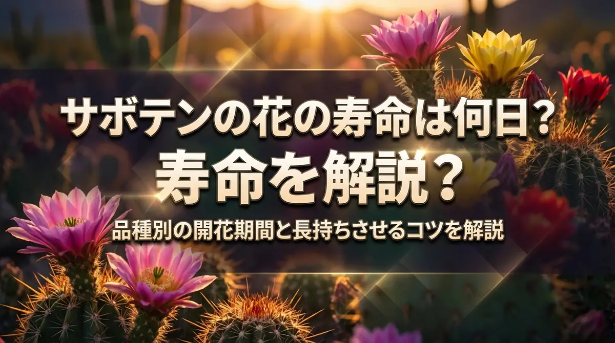サボテンの花の寿命は何日?品種別の開花期間と長持ちさせるコツを解説