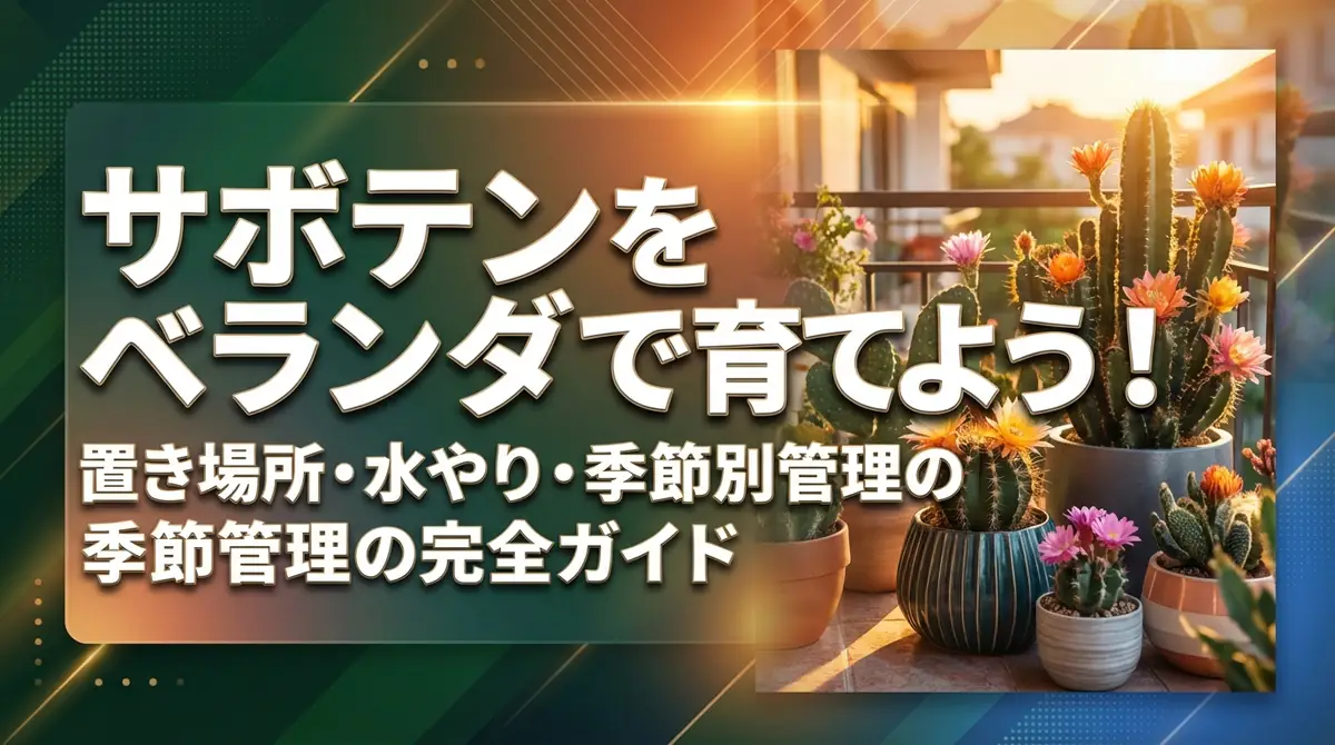 サボテンをベランダで育てよう！置き場所・水やり・季節別管理の完全ガイド