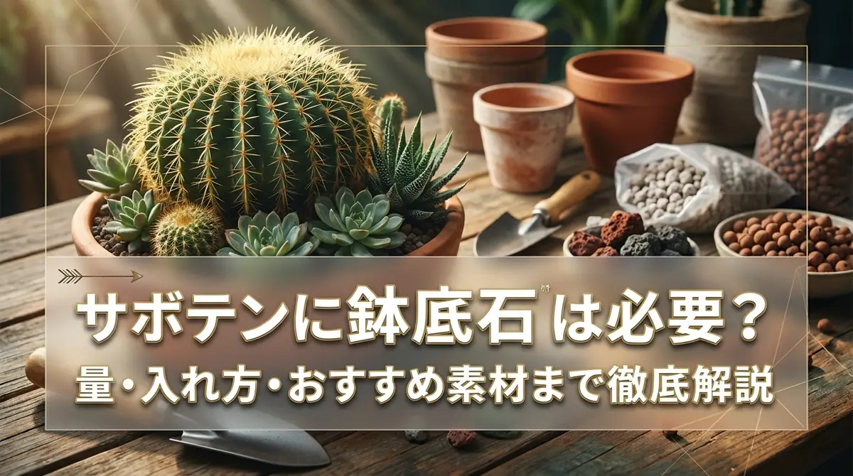 サボテンに鉢底石は必要？量・入れ方・おすすめ素材まで徹底解説