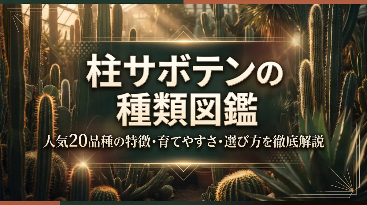 柱サボテンの種類図鑑｜人気20品種の特徴・育てやすさ・選び方を徹底解説