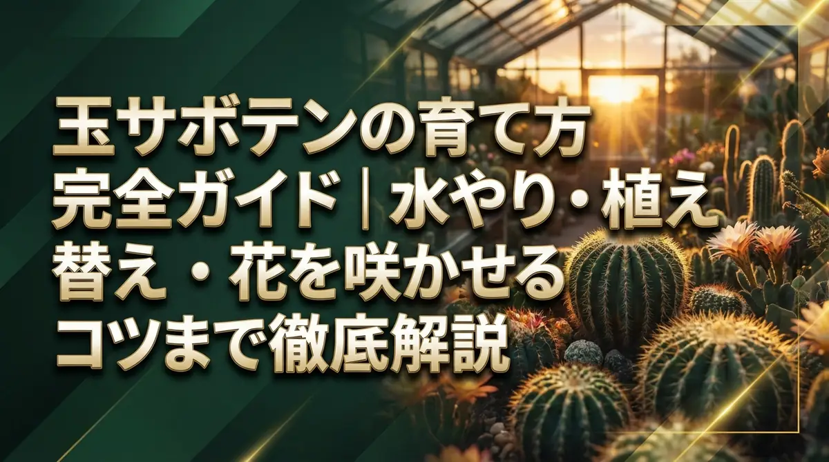 玉サボテンの育て方完全ガイド｜水やり・植え替え・花を咲かせるコツまで徹底解説