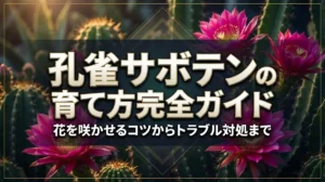 孔雀サボテンの育て方完全ガイド｜花を咲かせるコツからトラブル対処まで
