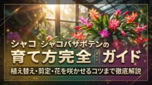 シャコバサボテンの育て方完全ガイド｜植え替え・剪定・花を咲かせるコツまで徹底解説