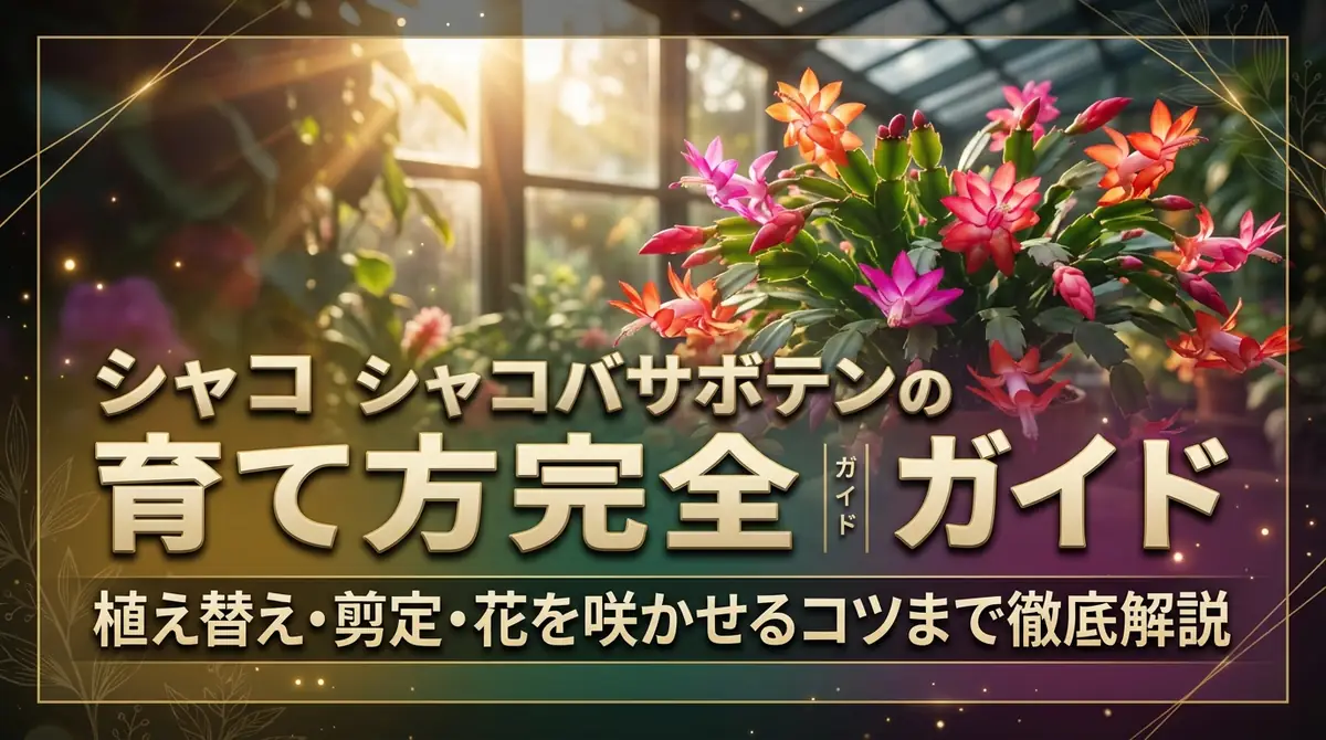 シャコバサボテンの育て方完全ガイド｜植え替え・剪定・花を咲かせるコツまで徹底解説