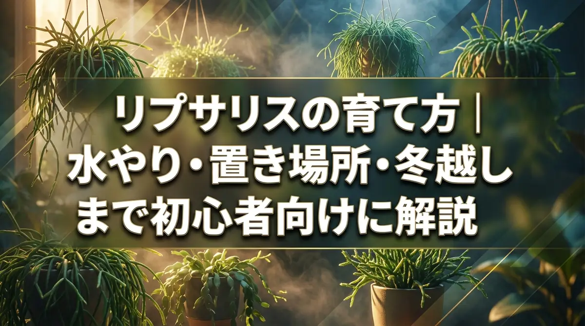リプサリスの育て方|水やり・置き場所・冬越しまで初心者向けに解説