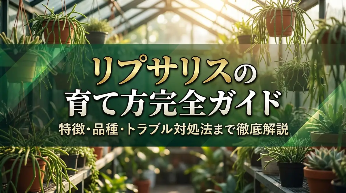 リプサリスの育て方完全ガイド｜特徴・品種・トラブル対処法まで徹底解説