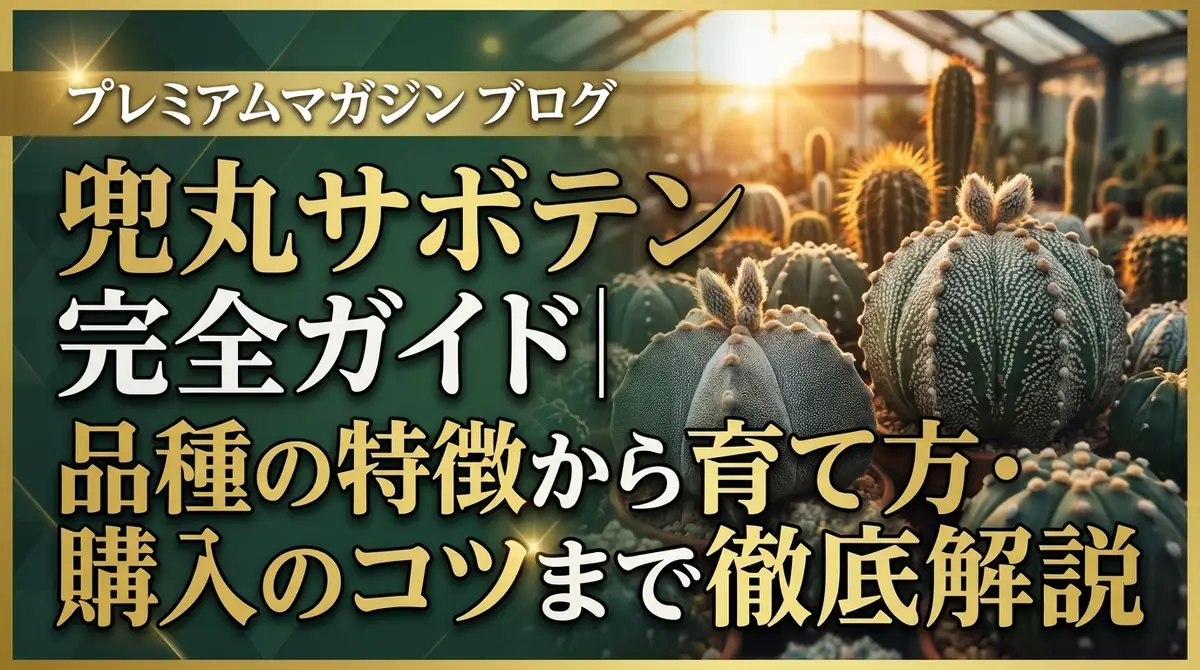 兜丸サボテン完全ガイド｜品種の特徴から育て方・購入のコツまで徹底解説